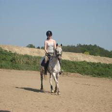 Knabstrupper Ac-Action - GL. Part.