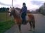 Haflinger **Miss Sunshine** - Mig og Haffe på vej på tur:-D  Er hun ikke dejlig?? hehe