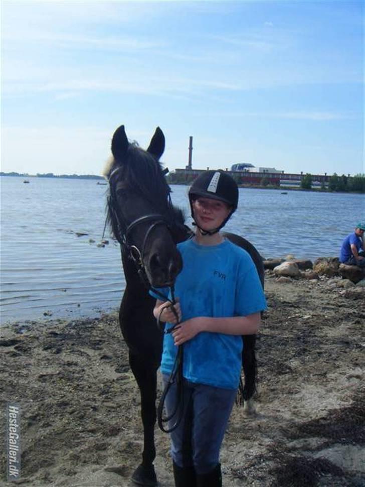 Anden særlig race (monique ) Madonna " baby'en" <3 - stranden.. fotograf: Cathrine <3 tak for en hyggelig tur (: <3 billede 13
