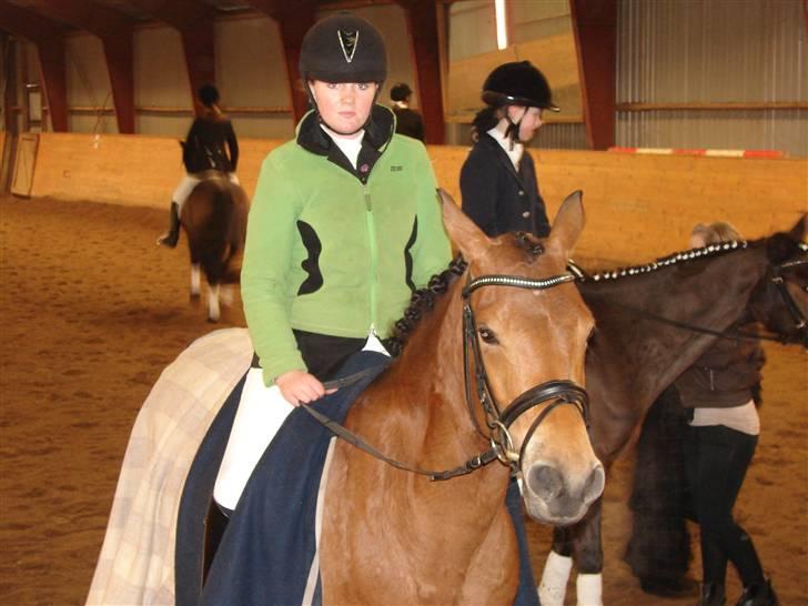 DSP Burton´s Dream *Solgt* billede 7