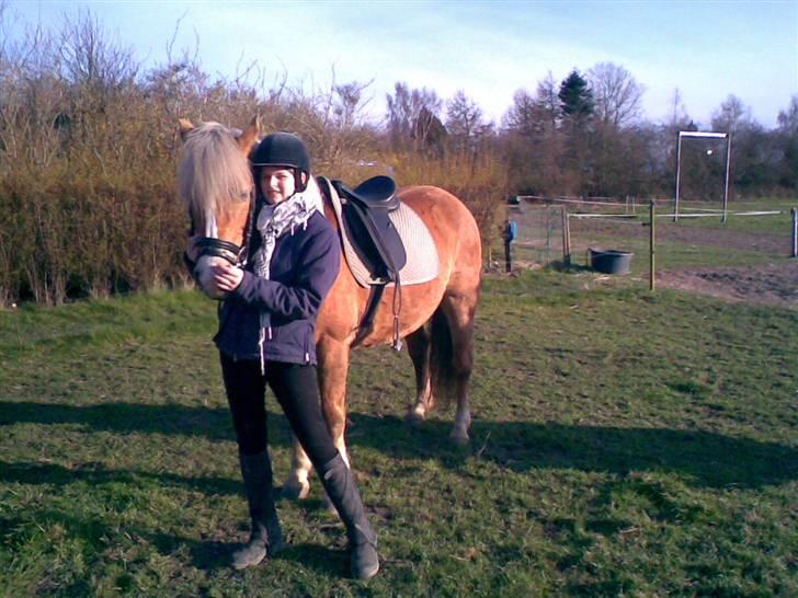 Haflinger **Miss Sunshine** - Mig og Haffe:-D billede 10