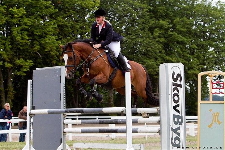 Holstener Queen z R.I.P. 5/1-2012 billede 9