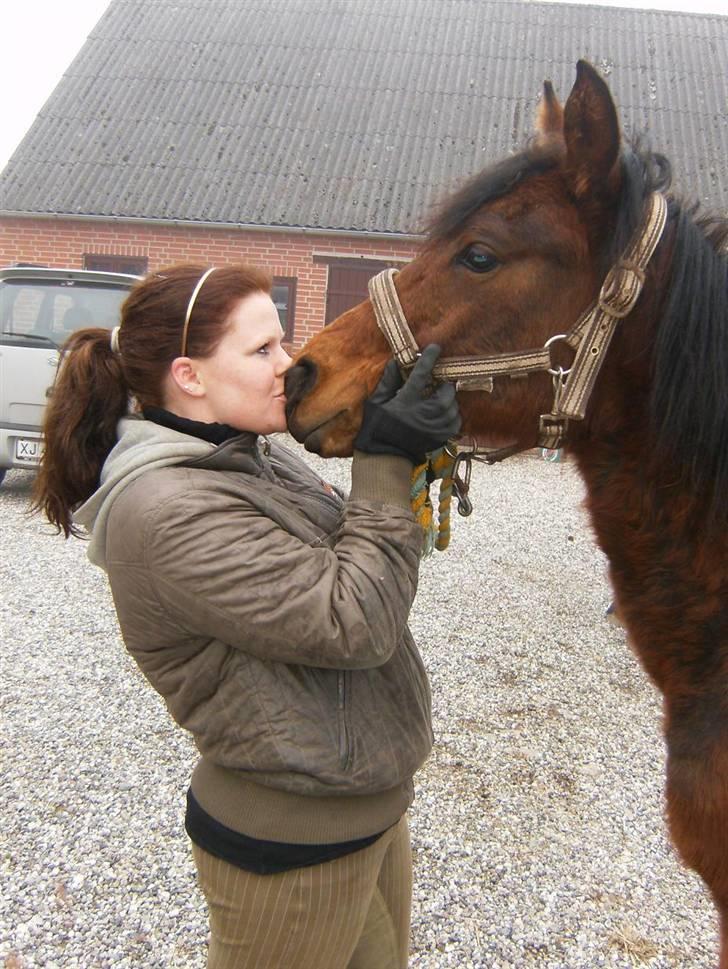 Anden særlig race Kings Champion. ( SOLGT ) - april 09 - han er så dejlig  :) billede 3
