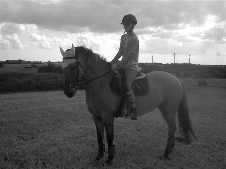 Anden særlig race Frk Smilla SOLGT billede 4