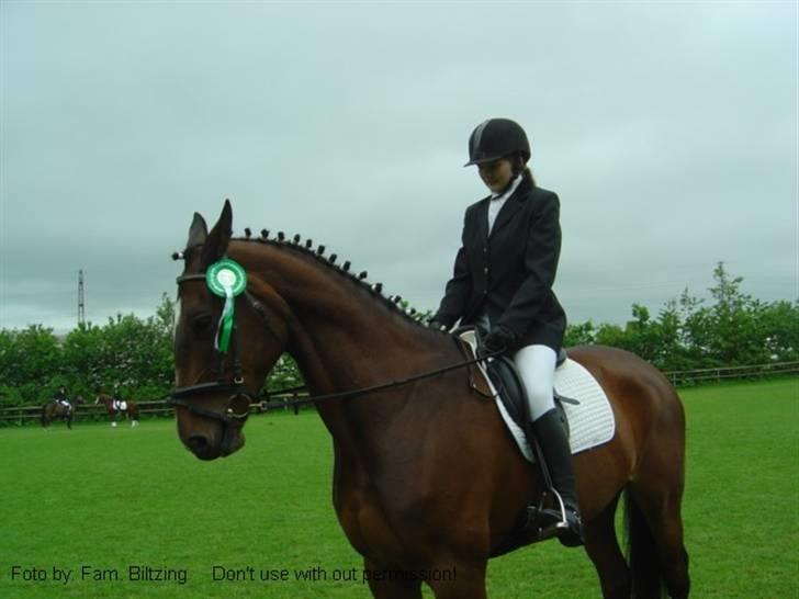 Dansk Varmblod Luna Macohl *R.I.P* - Billede 10: Dressur stævne. Jeg startede LC2 og LC3. Jeg blev nr. 3 i begge billede 10