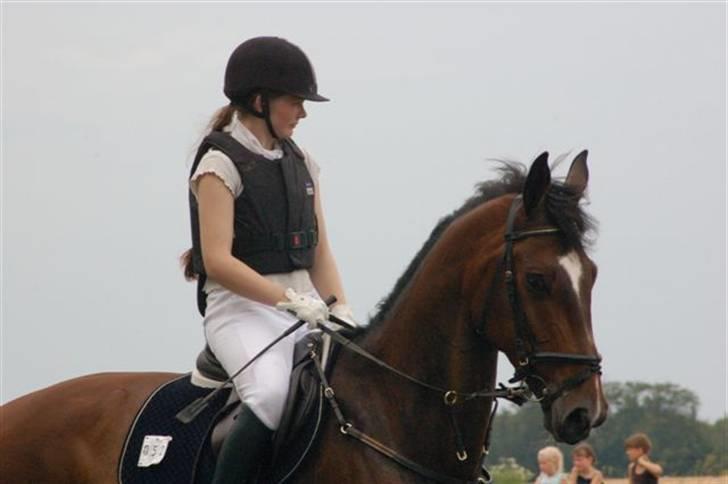 Dansk Varmblod Luna Macohl *R.I.P* - Billede 17: Distriktstævne i Nyk. F. Jeg startede LD og LC billede 17