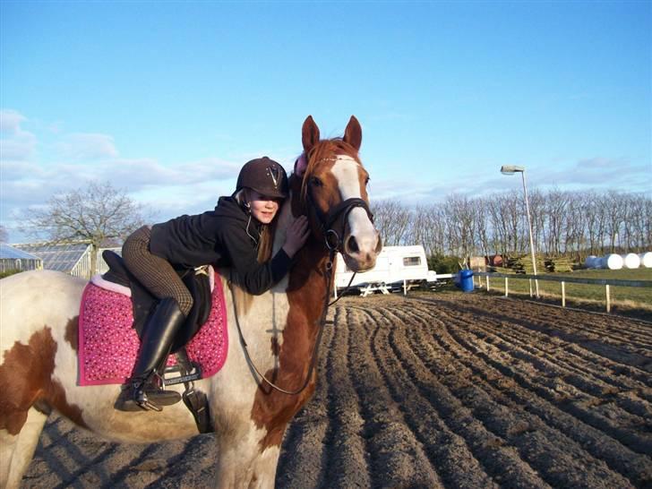 Pinto Gottenborgs Lucky billede 7