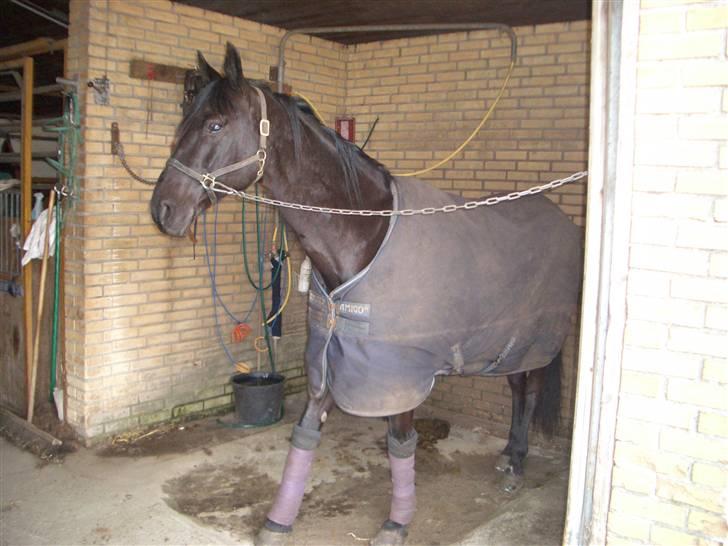 Traver Sæby Black Play (s) billede 6