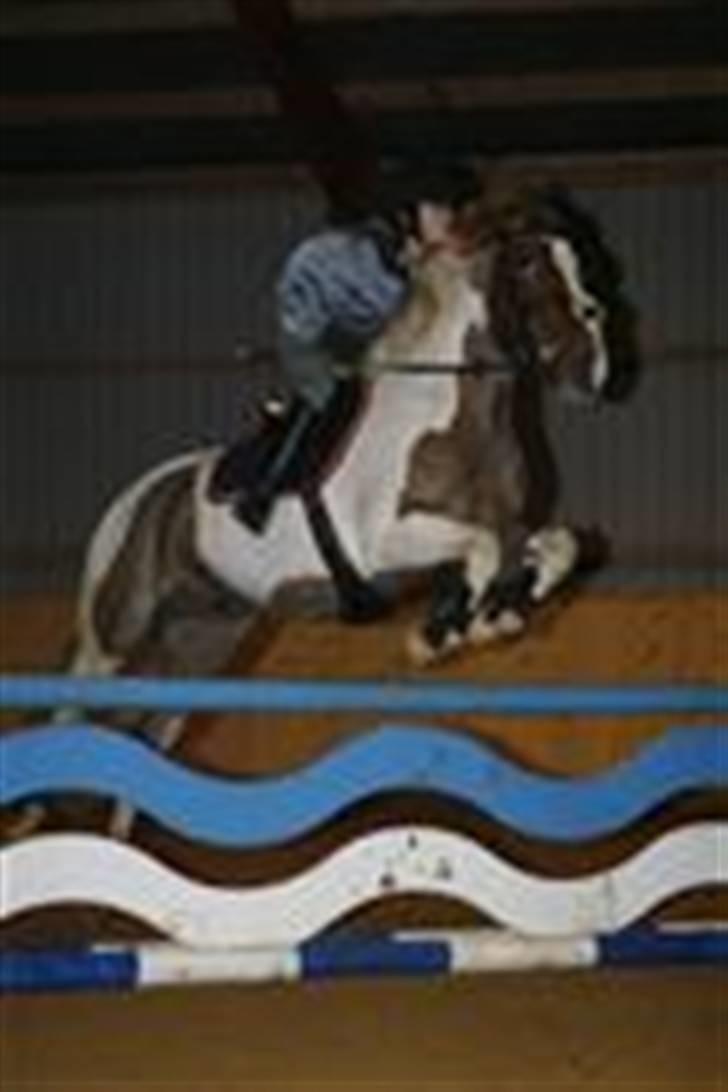 Pinto Cornelia  - Undervisning ved Tina Lund. billede 9