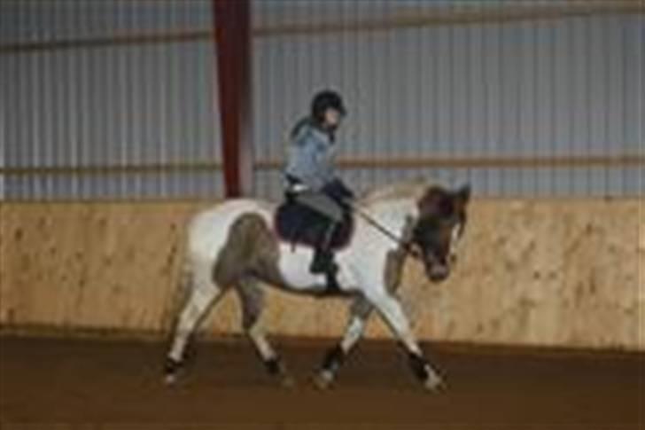 Pinto Cornelia  - Undervisning ved Tina Lund. billede 10