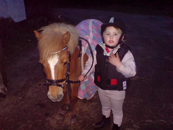 Shetlænder Lunderskovs Miss Soffie - Cecilie og Soffie på vej til stalden. billede 4