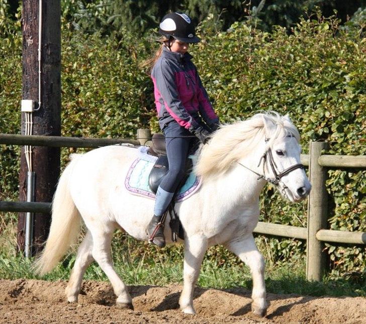 Anden særlig race Hvide<3 - Hygge ridning<3 billede 6