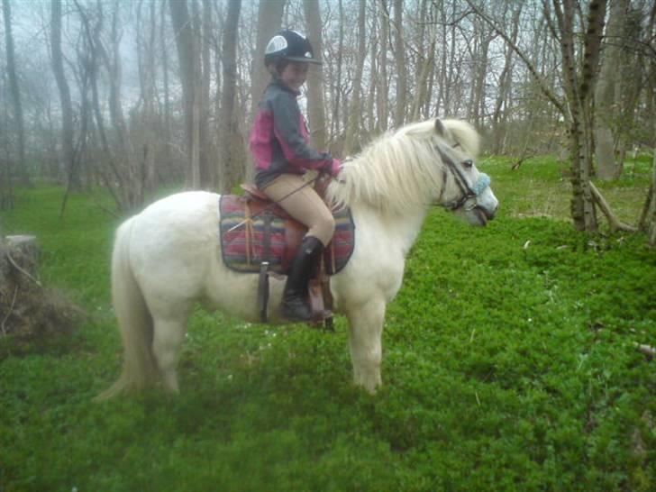 Anden særlig race Hvide<3 - I skoven<3 billede 9