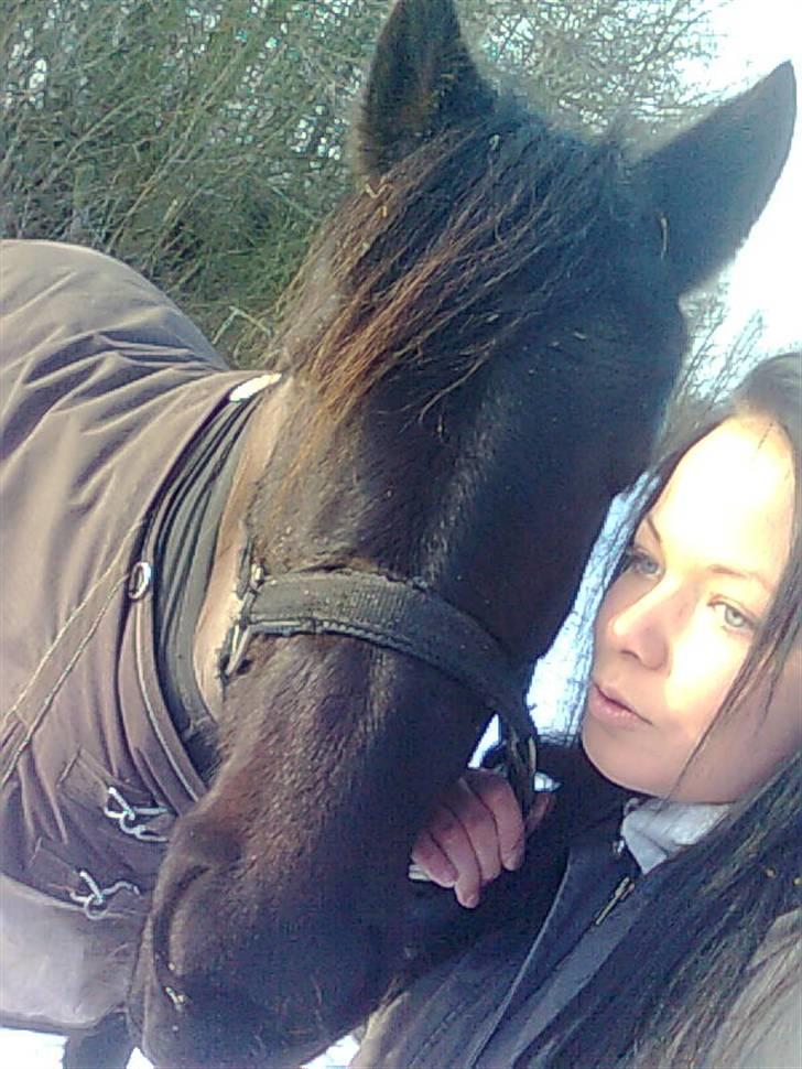 Anden særlig race Stacia - SOLGT - ligegyldigt hvad andre ser, betyder du stadig alverden for mig! billede 8