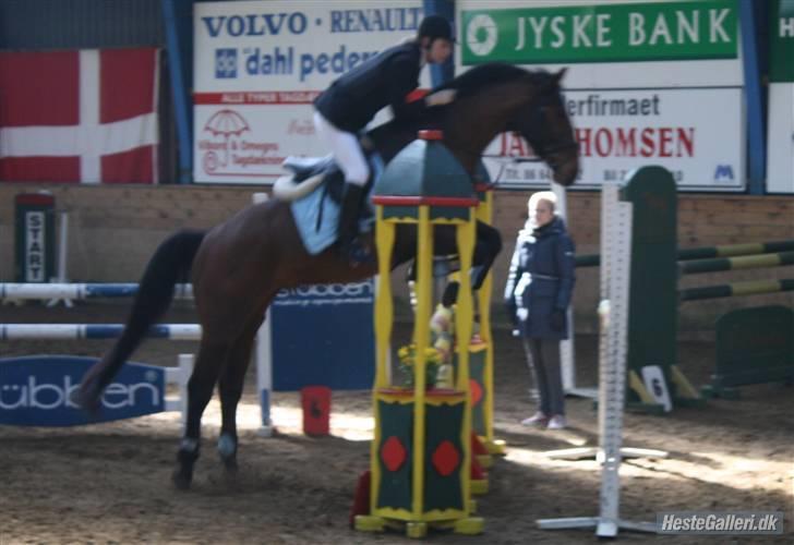 Holstener Lillestaruphøjs Casmir himmelhest  - Distriksstævne VIR ( Tak til mille for de gode billeder) billede 20