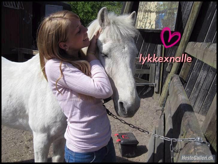 Anden særlig race Nalle<3  - #1 Velkommen til Nalles profil, et af mine bedste billeder af mig og nalle samn:*(: - taget af isabella billede 1