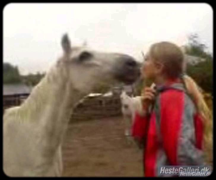 Anden særlig race Nalle<3  - #2 nalle&mig, org skatter! dette billede viser bar hvor meget vi holdte af hinanden, du alt ;/ billede 2