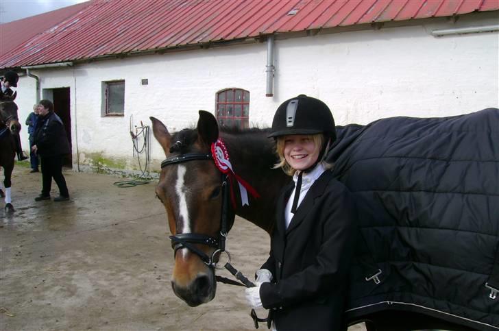 Anden særlig race Bruno Bjørn - Godt makker par! første stævne - første røde rosette billede 17