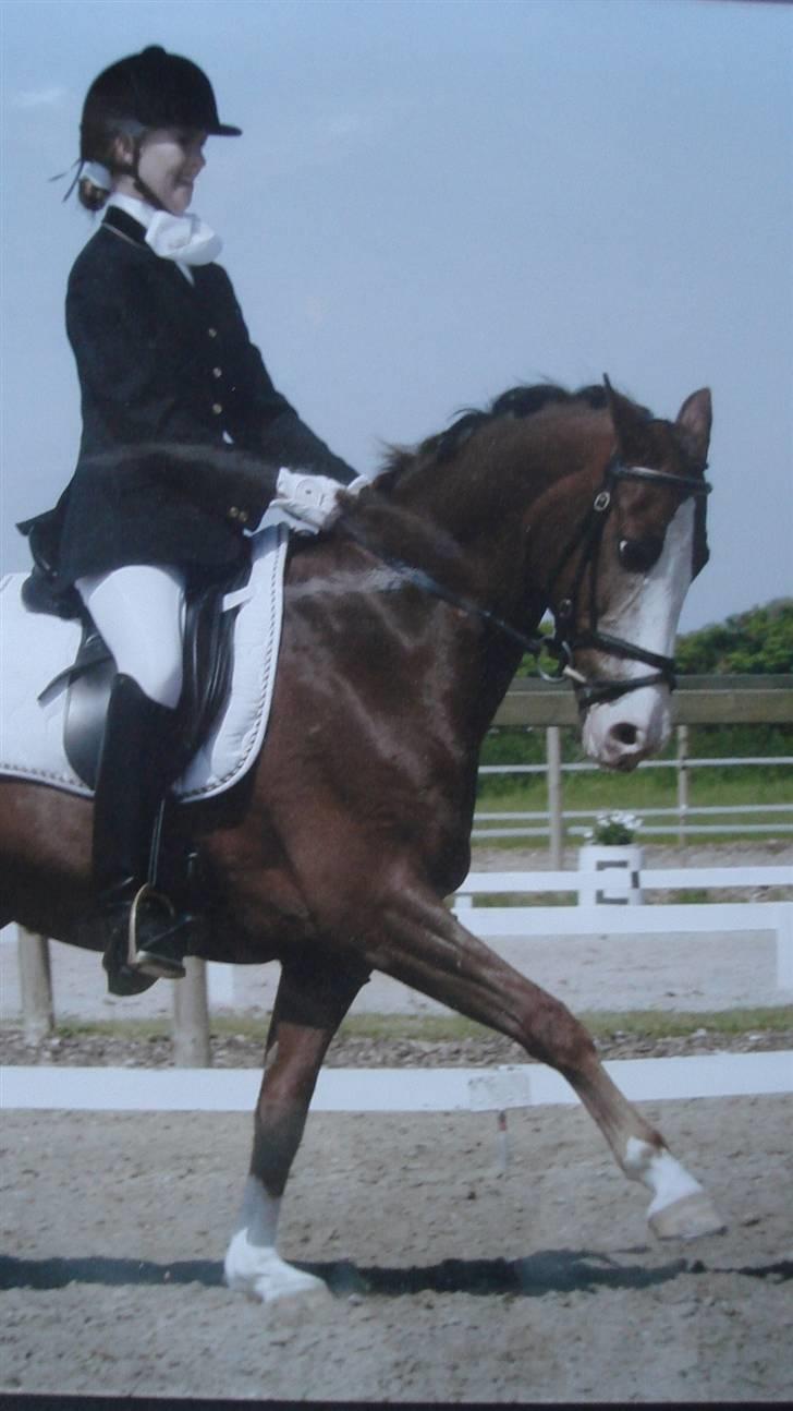 DSP Pascal * B-pony* billede 12