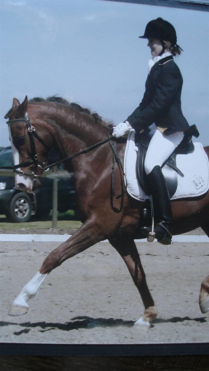 DSP Pascal * B-pony* billede 17