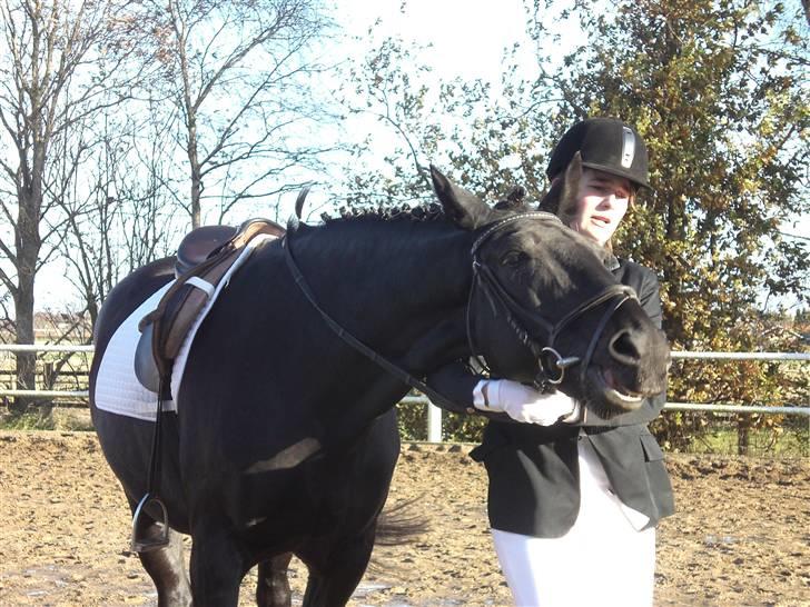 Anden særlig race Blackie - hun er squ lidt fræk.! haha`! billede 2