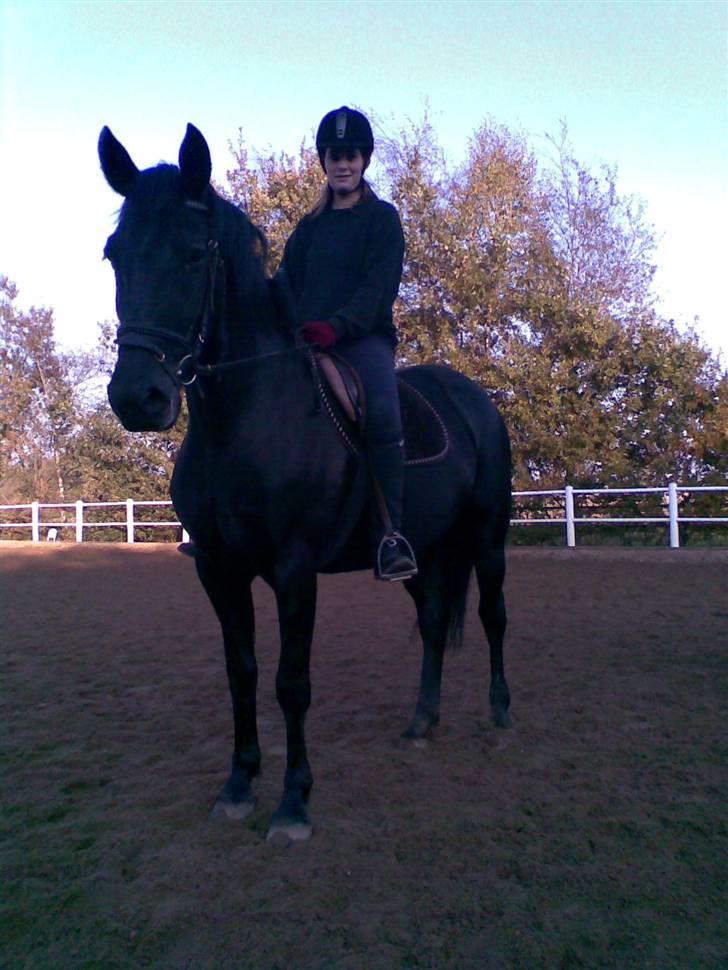 Anden særlig race Blackie billede 4