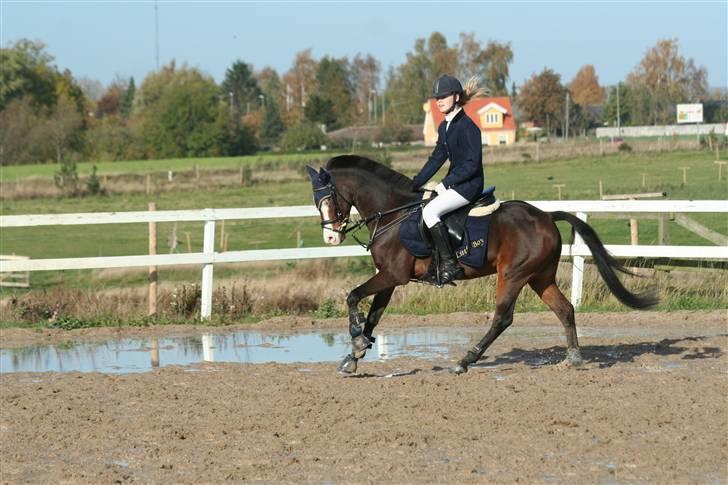 Tysk Sportspony Little Boy - weee :) billede 17