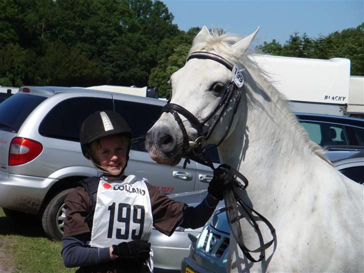 Connemara Bakkedals Bounty  - Hippoade den 13 juni 09 billede 8