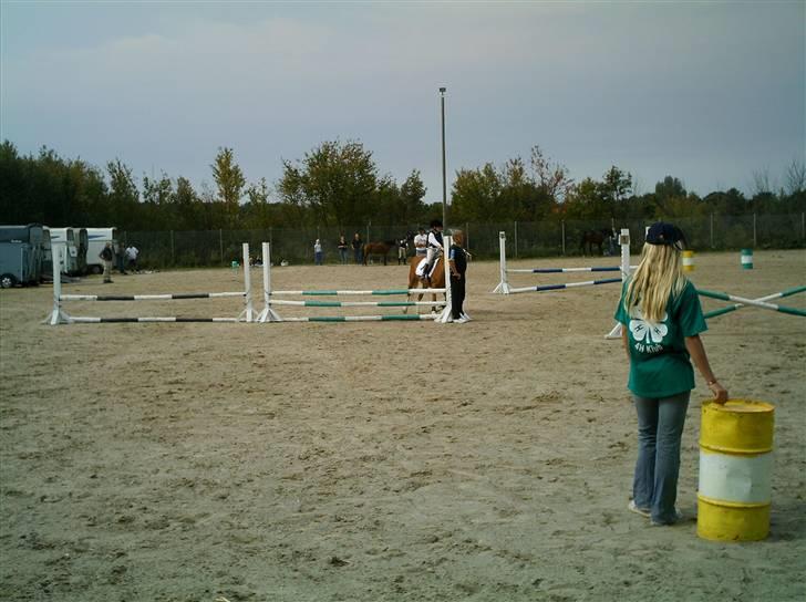 Tyroler Haflinger Dixie<3 (Bacardi)R.I.P:'( billede 11