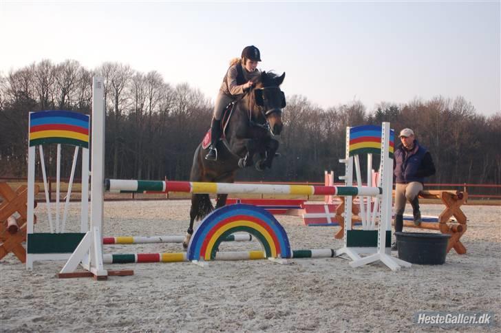 New Forest Zunette - solgt  - Mig & Zunet ved Jesper <3 [foto far] billede 16