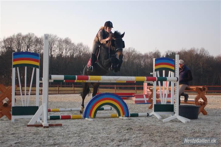 New Forest Zunette - solgt  - Mig & Zunet ved Jesper <3 [foto far] billede 18