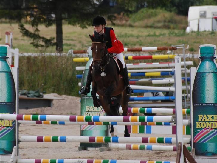 Anden særlig race Lotte<3 - foto: Louise Nielsen <3 billede 4