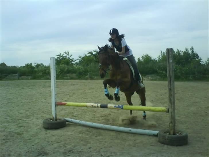 Anden særlig race Bruno, savner dig :'( <3 - Savner dig så ufattelig meget :´( billede 12