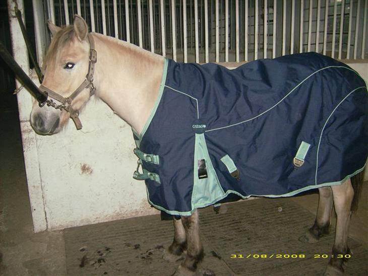 {{currentPhoto.altText}} billede {{currentPhoto.number}}