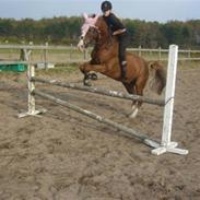 Anden særlig race terrific (Bamle)R.I.P