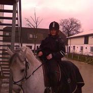 Anden særlig race lollipop (gamle part)