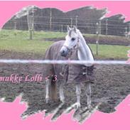 Anden særlig race lollipop (gamle part)