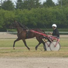 Traver  - Natasja Å