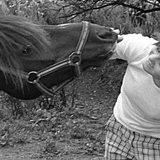 Anden særlig race Frede *soulmate*