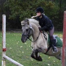 Anden særlig race Lucas<3 (SOLGT & SAVNET!)