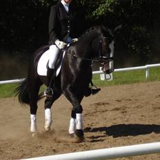 Oldenborg Ofelia  DØD ;(