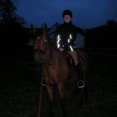 Pinto Lamell`s Mr. McKeag