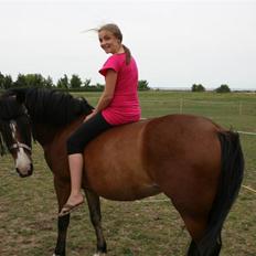 Anden særlig race Moonlight ( SOLGT) <3