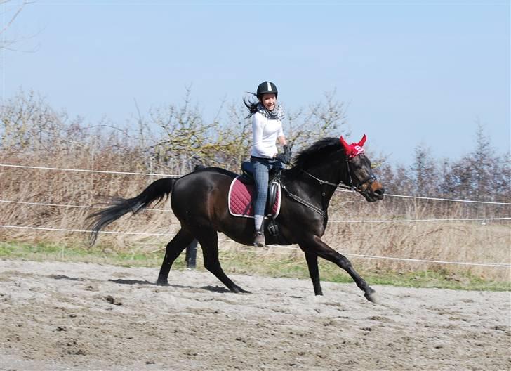 Dansk Varmblod GoldenEye<3<3<3 Himmelhest <3 - 7/4-2010 Hyggeridning på ridebanen... billede 14