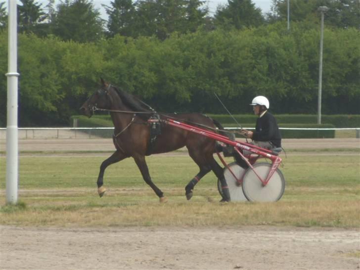 Traver  - Natasja Å - 2; Træning i Aalborg d. 8 juli :). billede 2
