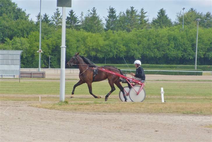 Traver  - Natasja Å - 3; Træning i Aalborg d. 8 juli :). billede 3