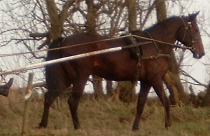 Traver  - Natasja Å - 4; Nu vil jeg gerne snart ind! q: billede 4