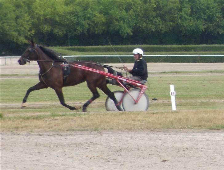 Traver  - Natasja Å - 6; Træning i Aalborg d. 8 juli :). billede 6