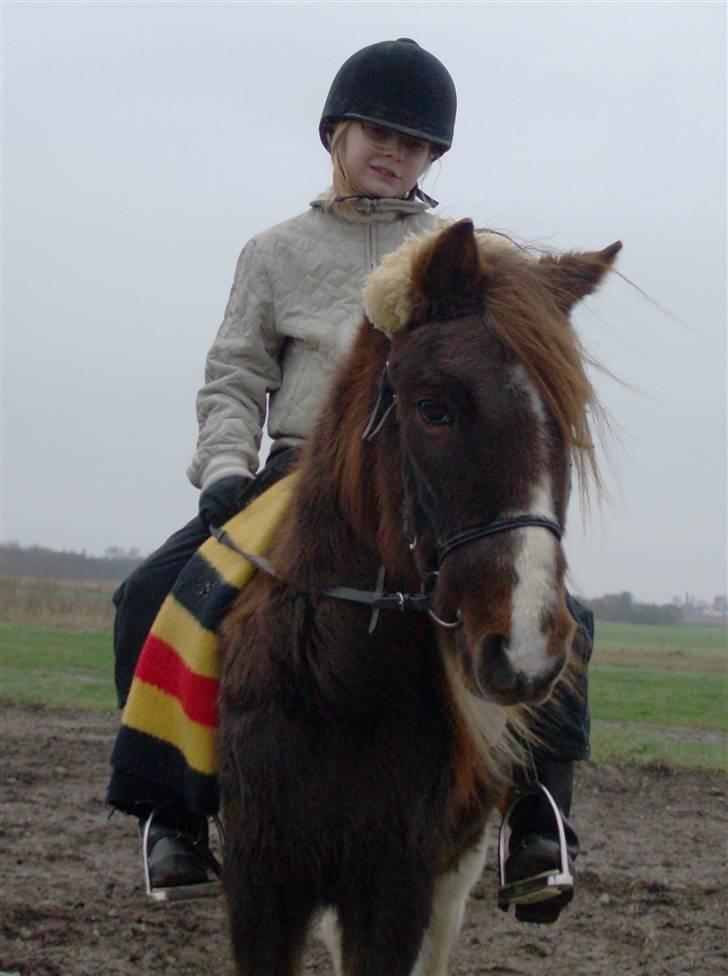 Anden særlig race Kiwi R.I.P billede 5