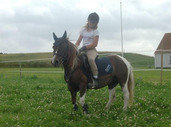 Anden særlig race Kiwi R.I.P billede 8